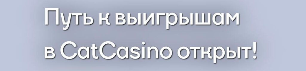 кэт казино официальный сайт